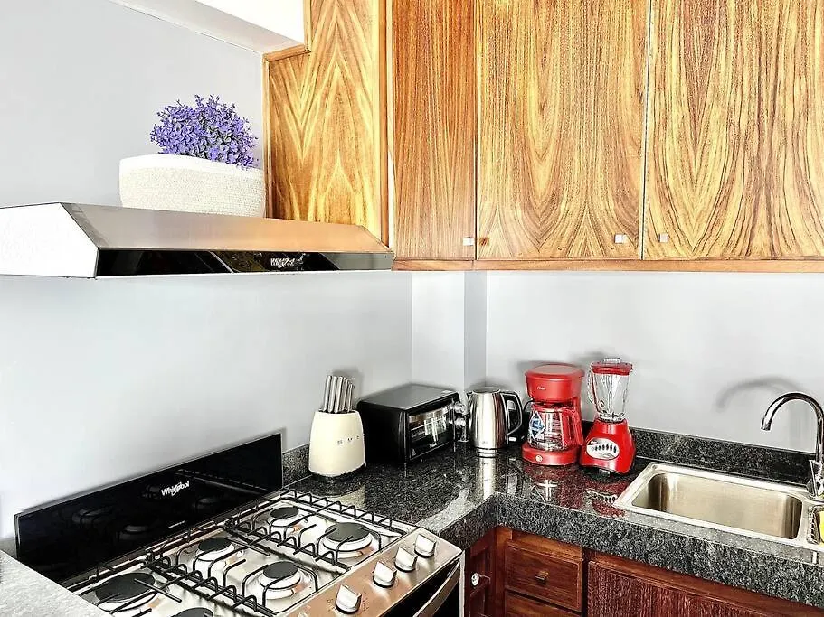 New Deluxe 2Br-2Bth, 2 King Beds, 1 Gig - Speed Wi-Fi, Pool, Huge Patio, Close To The Beach, Marina And Night Life. Кабо-Сан-Лукас Апартаменты